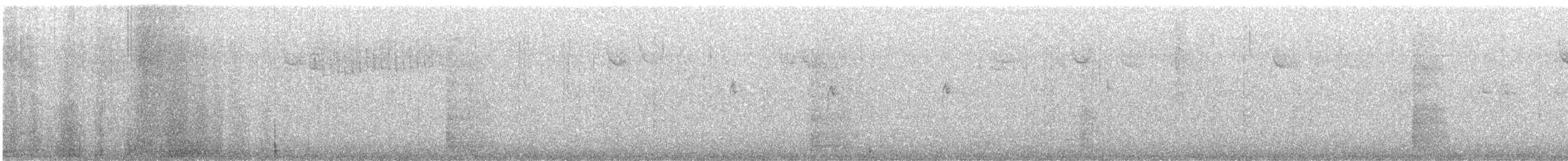 Kuitlakotxe gorrizta - ML646020251