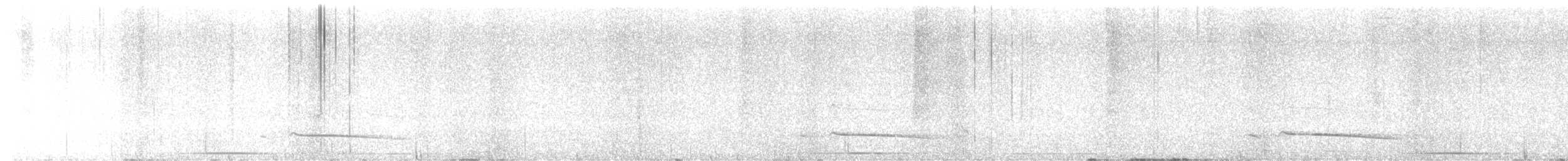 Tarçın Renkli Attila - ML646020618