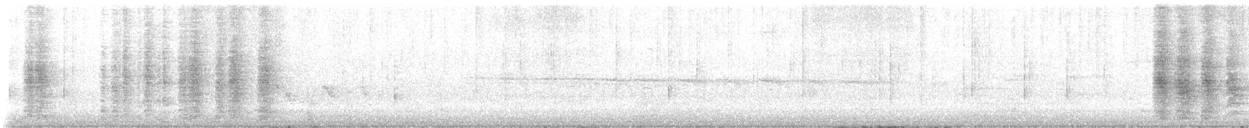 Yıldızlı Drongo - ML646020643