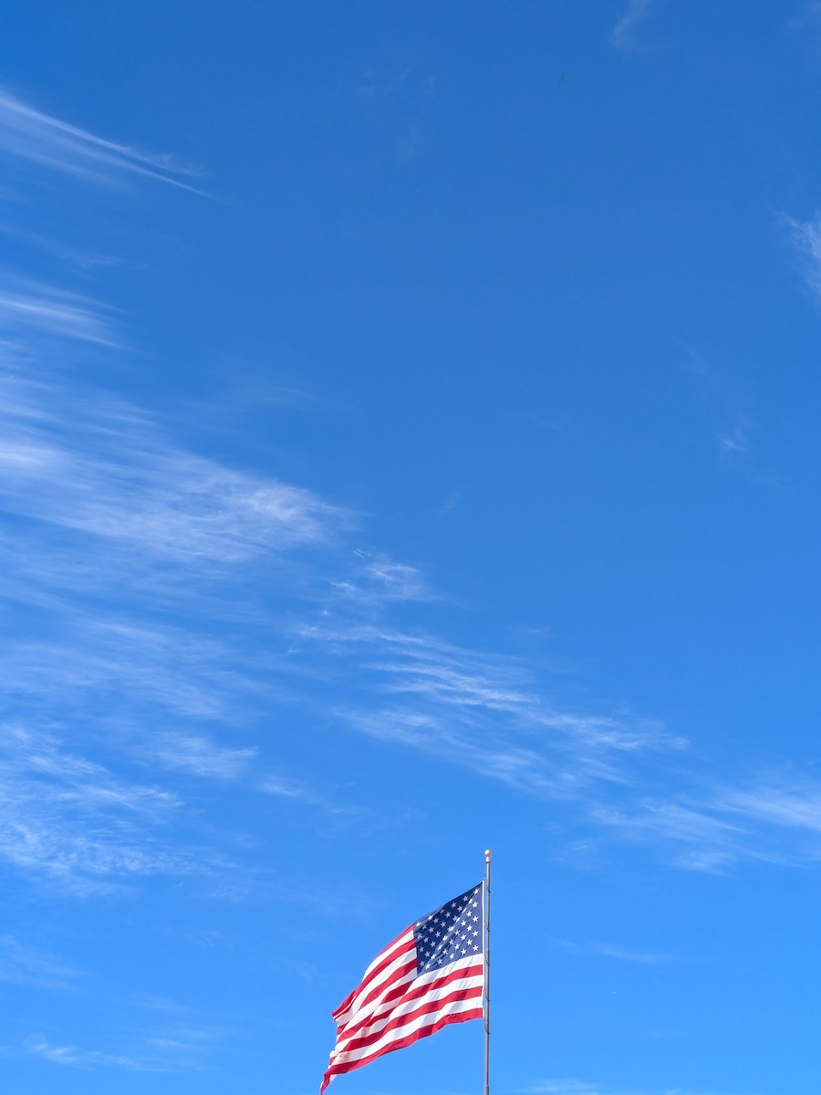 Osprey - ML646021066