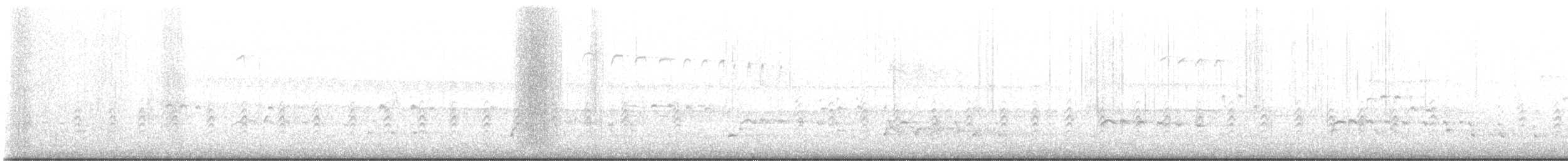 Ak Başlı Kartal - ML646021193