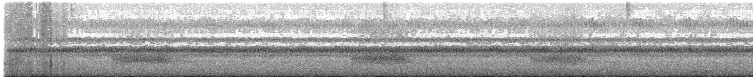 Avustralya Peçeli Baykuşu - ML646021671