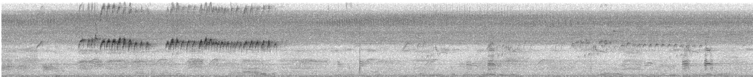 Tropical Kingbird - ML646022479