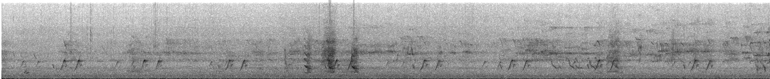 Желтогрудый радужник (substriatus) - ML646023263