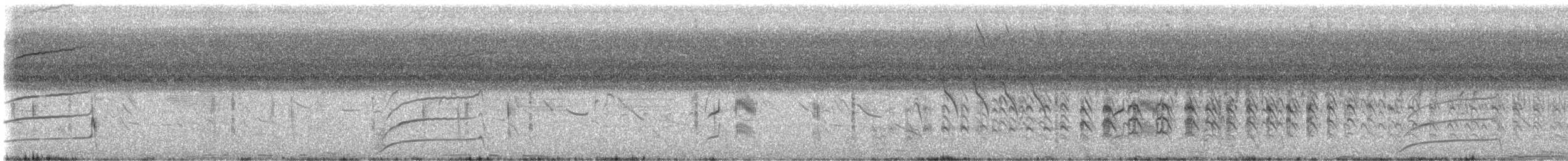 Smooth-billed Ani - ML646023403