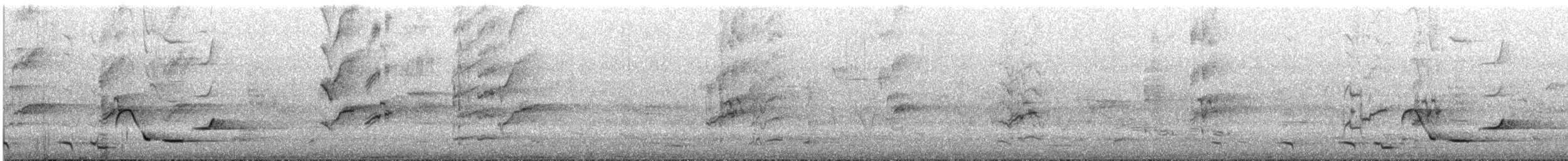 hvittøyleplystrer - ML646023450