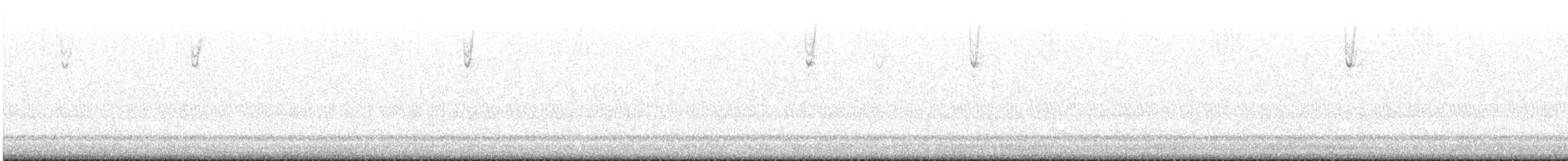 Chipping Sparrow - ML646023570