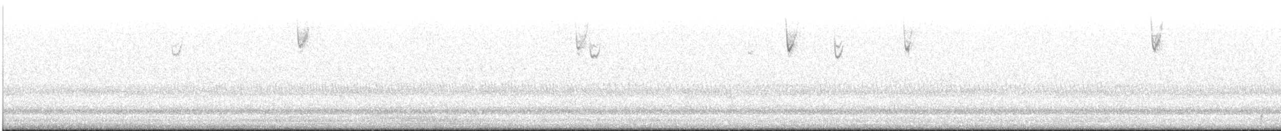 Chipping Sparrow - ML646023571