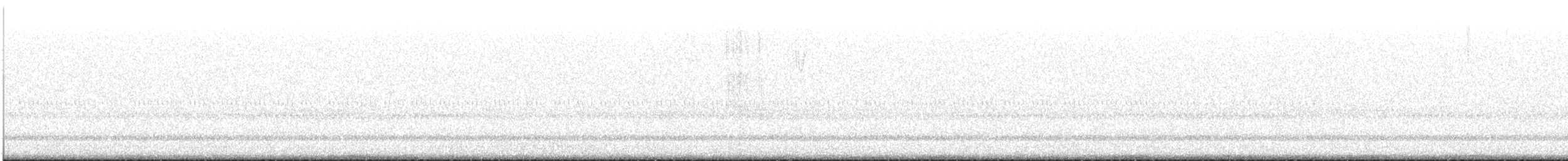 Chipping Sparrow - ML646023572