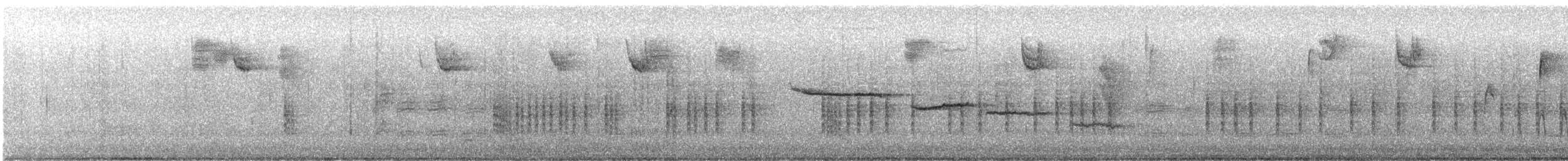 Northern House Wren - ML646023674