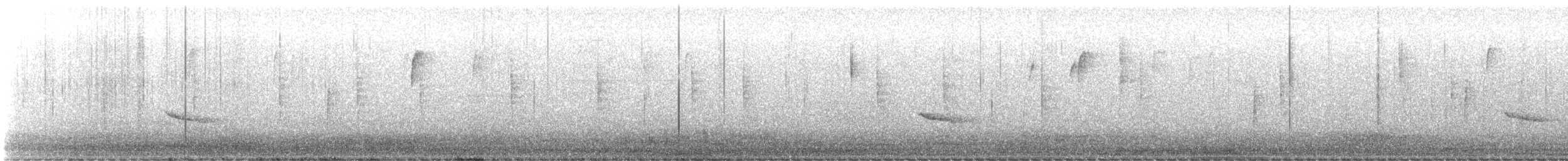 Hermit Thrush - ML646023695