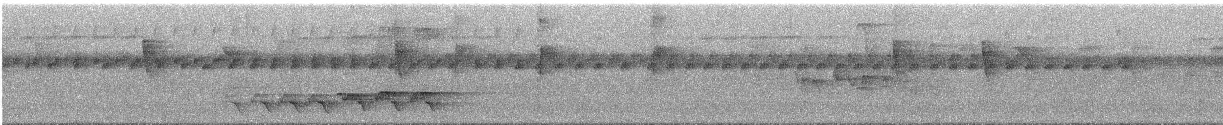 Purple-throated Fruitcrow - ML646023735