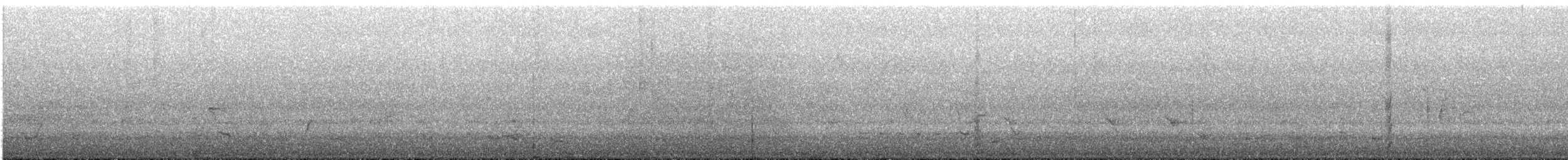 White-browed Babbler - ML646023763