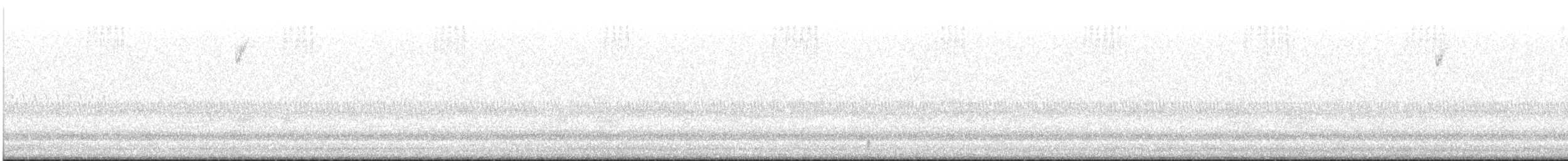 Chipping Sparrow - ML646023843