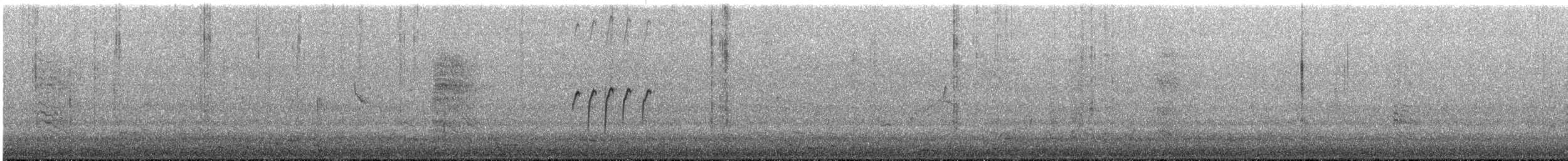 Southern Whiteface - ML646023848