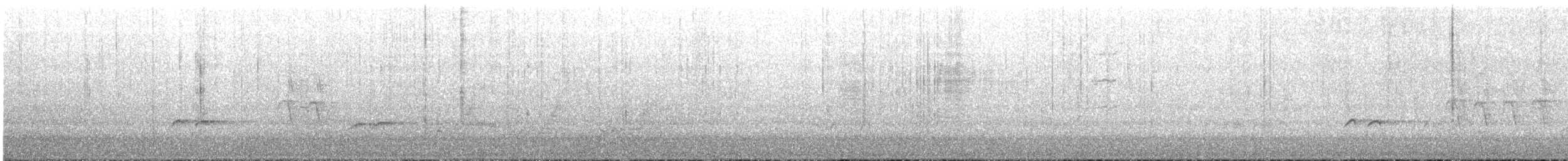 bird sp. - ML646024006