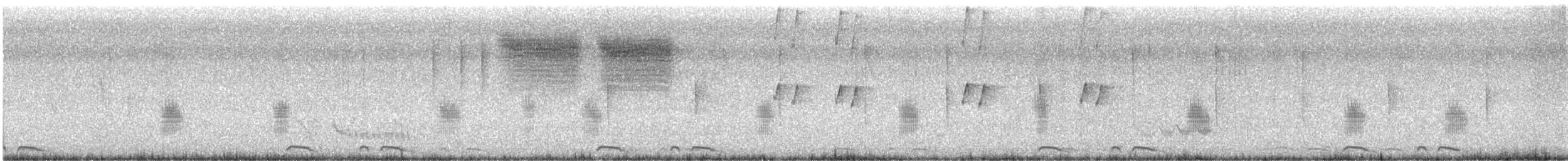 Tropical Mockingbird - ML646024192
