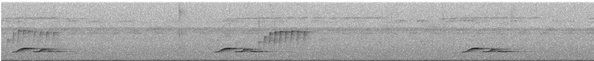 Waldzaunkönig - ML646024455