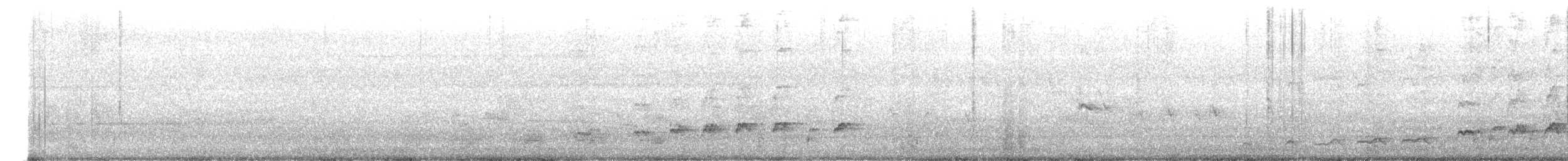 grønnebbkoel - ML646025054