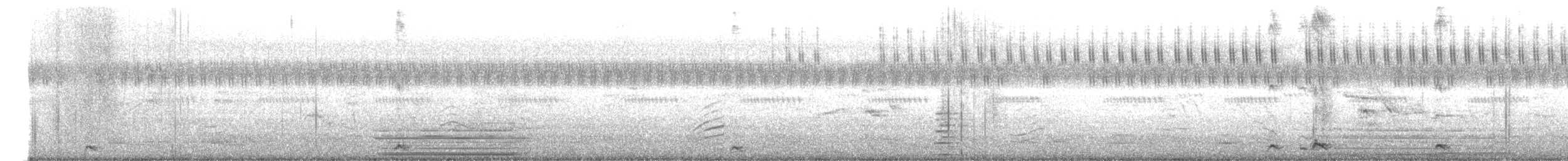 grønnebbkoel - ML646025056