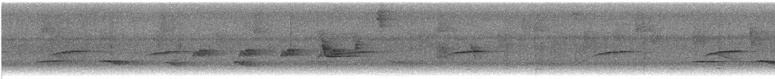 Brown-capped Tyrannulet - ML646025127