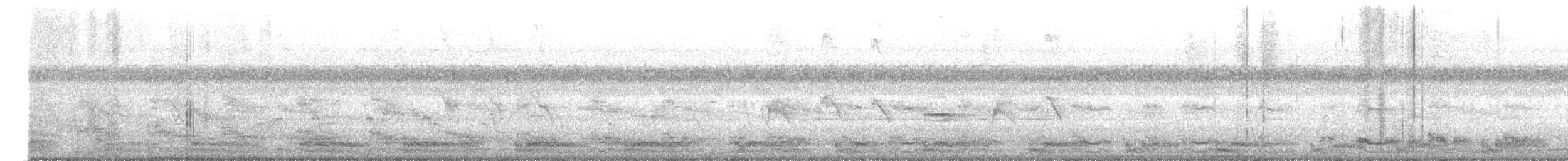 White-breasted Waterhen - ML646025152