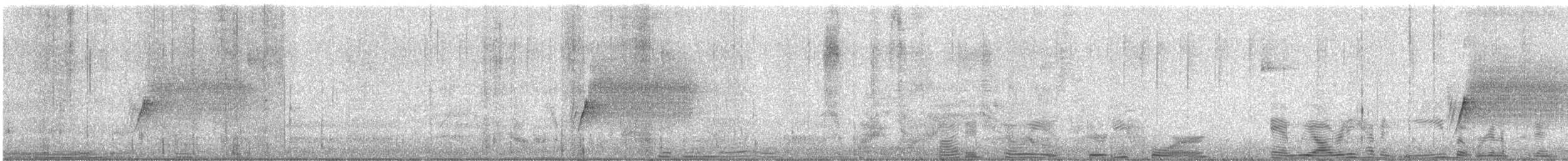 Spotted Towhee - ML646025415