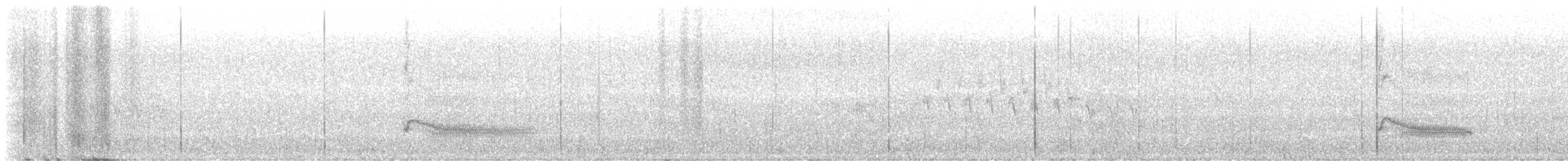 Steller's Jay - ML646025429