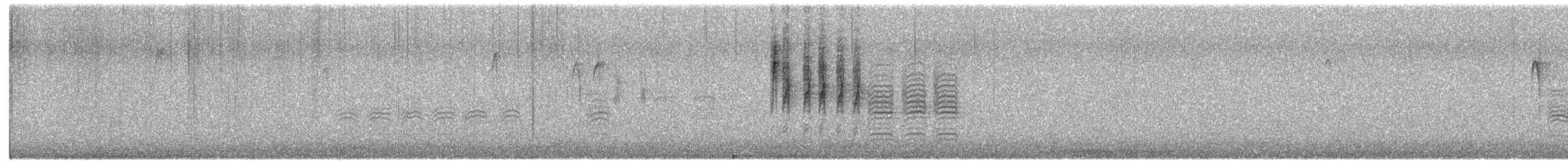 Black-capped Chickadee - ML646025558
