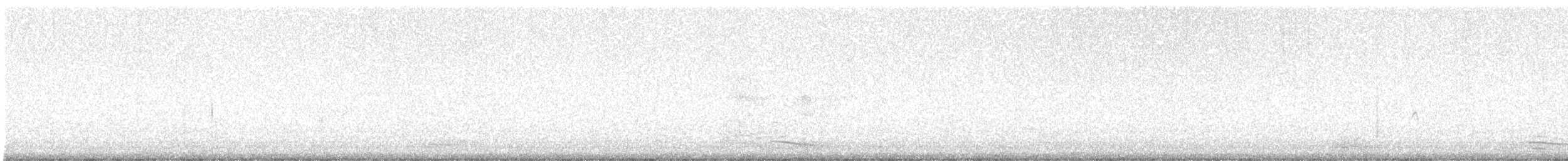 Espátula Menor - ML646025826