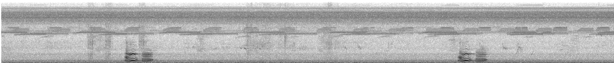 kamiš růžkatý - ML646025956