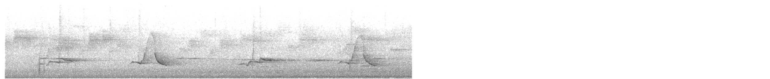 Black-faced Monarch - ML646026446