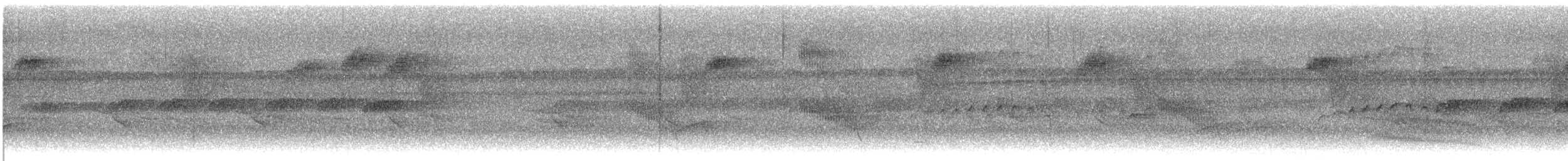 Bicolored Antbird - ML646026590