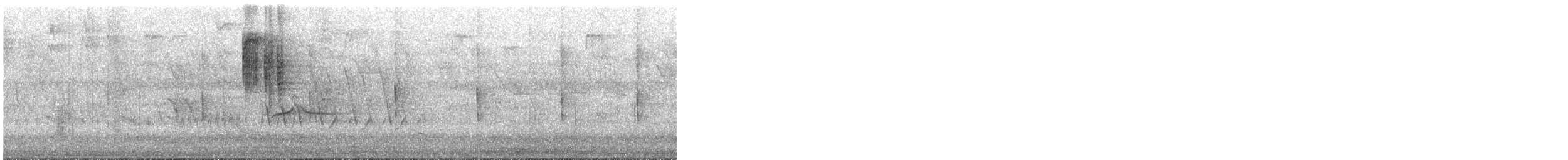 Колібрі синьочеревий - ML646026677