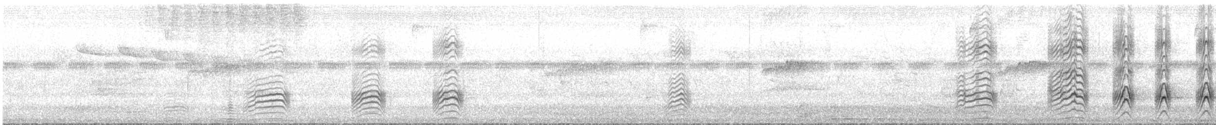 Roadside Hawk - ML646026691