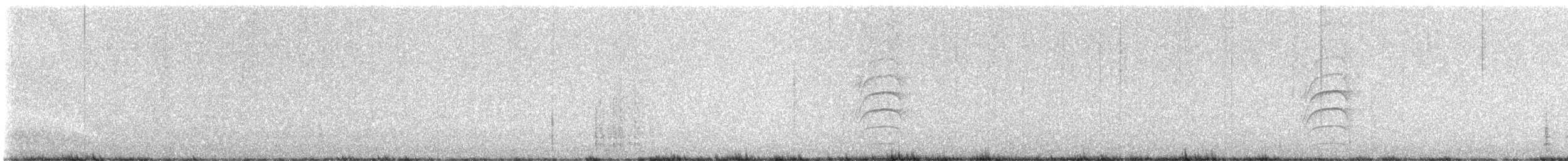 Great Kiskadee - ML646026729