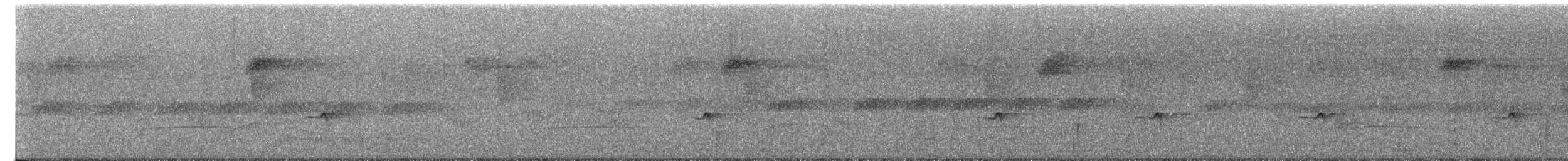 Mistletoe Tyrannulet - ML646026742