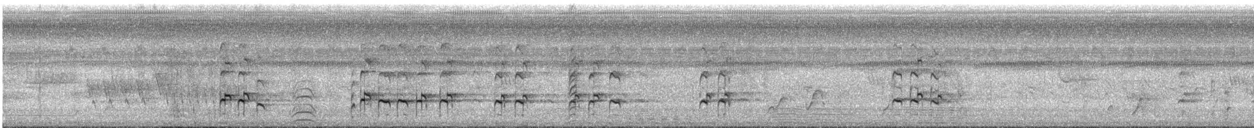 Пёстрый улит - ML646026824