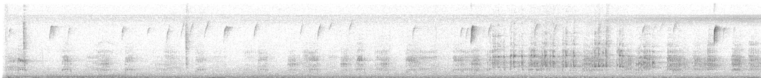 Plain Chachalaca - ML646026863