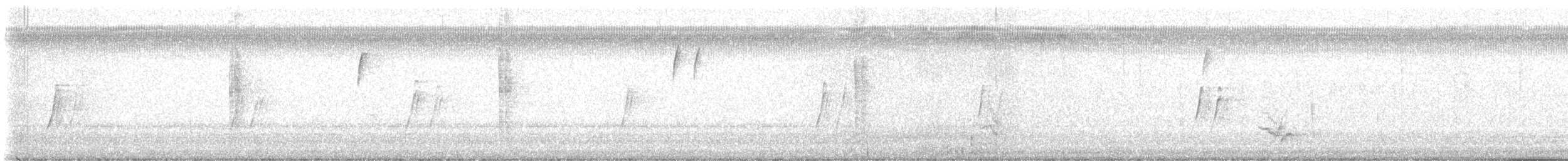 Curve-billed Thrasher - ML646026918