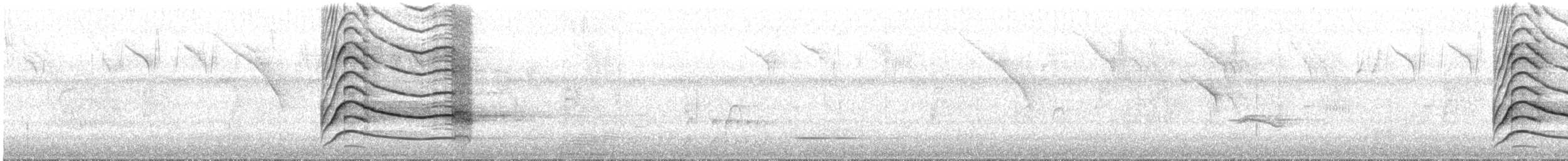 Roadside Hawk - ML646026922