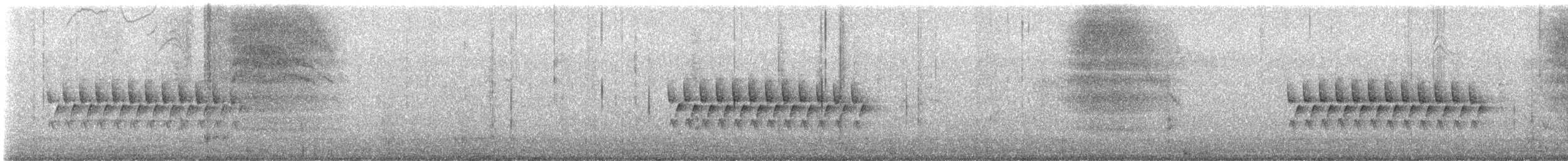 Junco ardoisé (groupe oreganus) - ML646026943