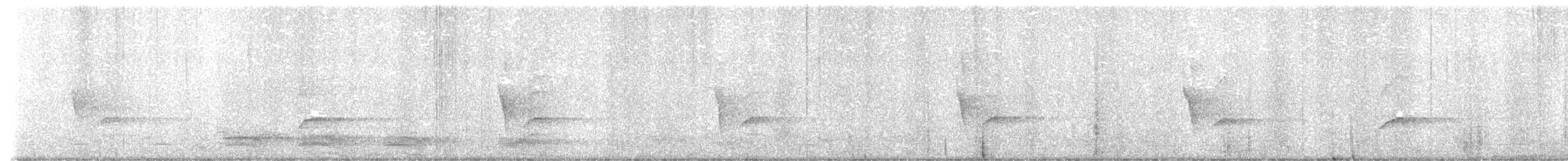 Дронго лірохвостий - ML646027575