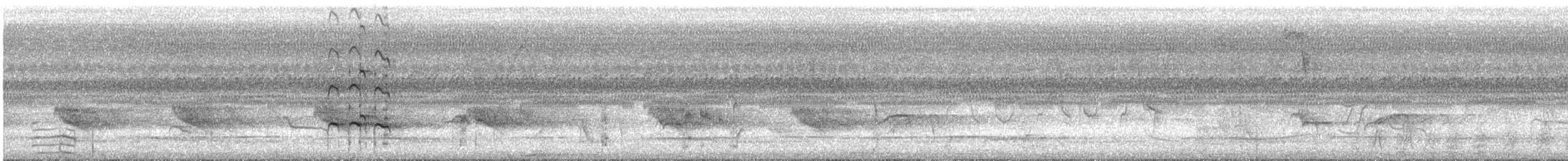 Коловодник строкатий - ML646027639