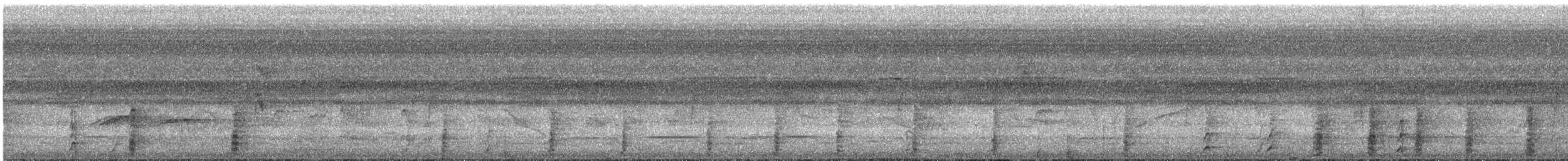 Чачалака цяткована - ML646027652