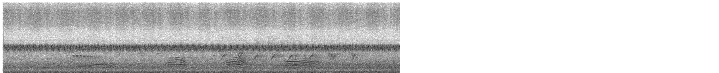 Кукавка віялохвоста - ML646027697