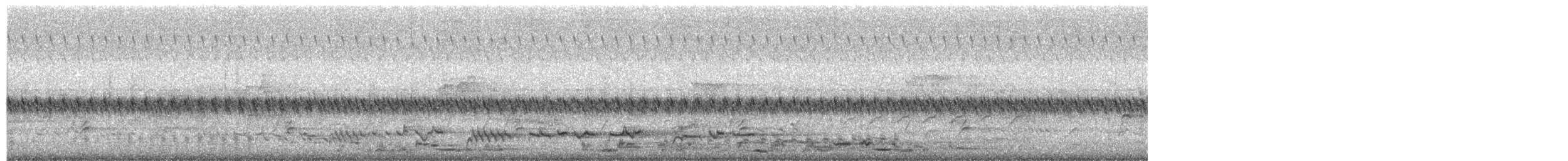 Медолюб вікторійський - ML646027708