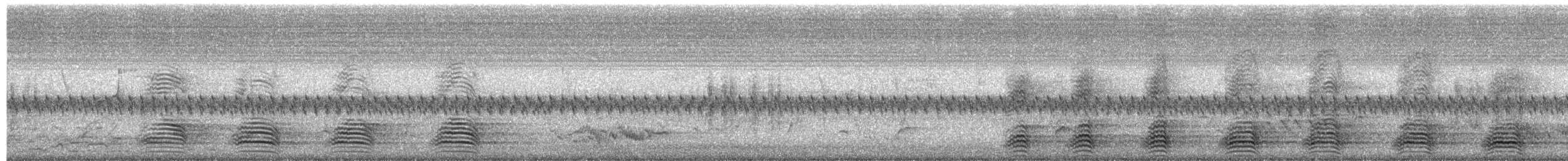 Ворона австралійська - ML646027710