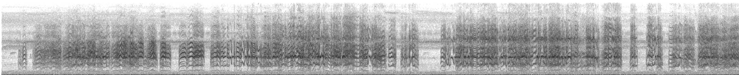 メジロメキシコインコ - ML646027837