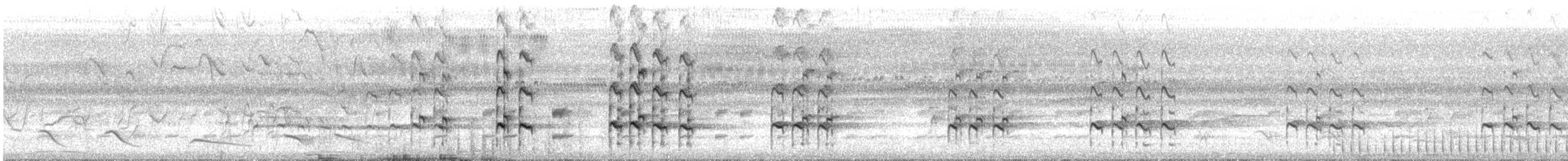 Коловодник строкатий - ML646027873